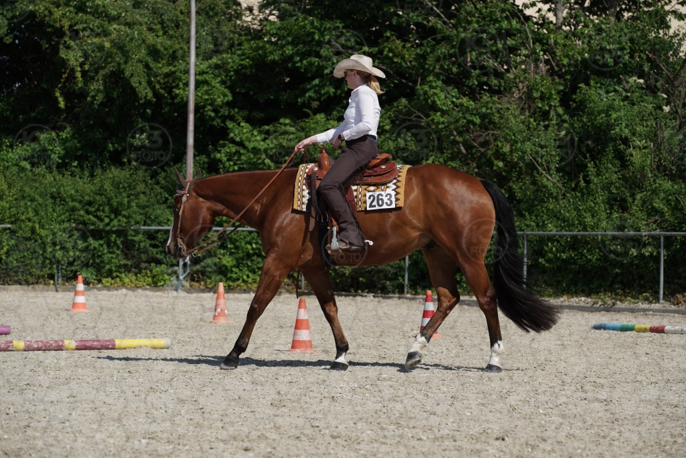 s_APF06550.jpg